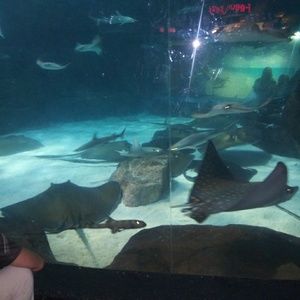 Meet your Posher, Erika